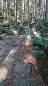 熊野古道.JPG