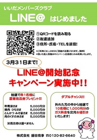 line4.jpg